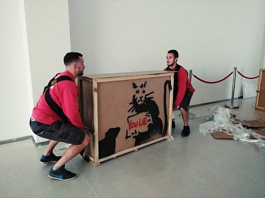 Levné stěhování v Plzni